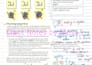 provide expert physics tutoring for exam success at ib, ap, edexcel, gcse